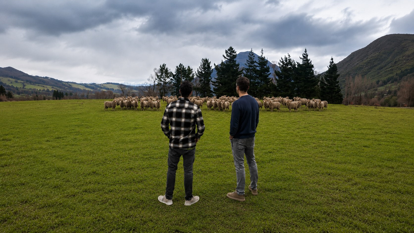 Oprichters van WALK IT OFF in weiland met merinoschapen
